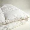 Saules Patalyne Žąsų pūkinė antkldė (70%-pūkų, 30%-plunksnų) su tiku EXCLUSIVE PLUS, 200x220 cm
