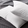 Saules Patalyne Pūkinė pagalvė su tiku EXCLUSIVE ULTRA (žąsų 90%-pūkų, 10%-plunksnų), 50x70 cm (500g)