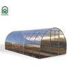 Meistro Kodas Šiltnamis Arkinis KLASIKA TUBE 3x10 m (30 m2) 6 mm danga