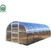 Meistro Kodas Šiltnamis BALTIC LT 3 x 6 m (18 m2) 4 mm danga