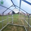 Meistro Kodas Šiltnamis KLASIKA Bernard su 6 mm danga 2,35x5m