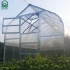 Meistro Kodas Šiltnamis STANDART*KLASIKA 10 m2/6 mm (2,5x4 m) 2 stoglangiai