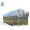 Meistro Kodas Šiltnamis Standart*KLASIKA 2,5x2 m (5 m2) 6 mm danga (1 stoglangis)