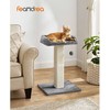 Feandrea Draskyklė 71 cm su platforma