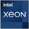 Serverio procesorius Intel Xeon E -2234, 3,6 GHz, 8 MB, OĮG (CM8068404174806)