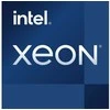 Serverio procesorius Intel Xeon E -2234, 3,6 GHz, 8 MB, OĮG (CM8068404174806)