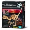 4M Vaikiška laboratorija: velociraptoriaus skeletas