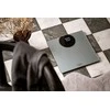 Adler | Vonios svarstyklės | AD 8175 | Didžiausias svoris (keliamoji galia) 180 kg | Tikslumas 100 g | sidabras