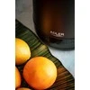 Adler | Virdulys | AD 1295b | Electric | 2200 W | 1.7 L | Nerūdijantis plienas | 360° rotational base | Juodas