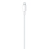 Apple iš Lightning į USB-C laidas (2m), modelis A1702