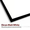 ART ER T84 4:3 ART rankinis ekranas su trigubu 4:3 84 170x127cm TS-84 4:3
