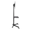 ART STO S-09 ART LENTA / VEŽIMĖLIS ant ratų + TELEVIZORIAUS LCD/LED/PLAZMA 23-55 25KG S-09 LAIKIKLIS