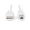 Assmann Electronic ASSMANN 10X USB2.0 kabelis 3.0m USB A zu USB B masinis smėlio spalvos