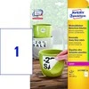 Lipnios etiketės Avery Zweckform, A4, atsparios drėgmei, 210x297mm, 1 etiketė lape, 20 lapų, nuklijuojamos, baltos spalvos