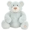 Beppe Pliušinis žaislas - mėtų spalvos meškiukas "Jacobe", 35 cm