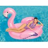 BESTWAY pripučiamas Flamingas, 1,73m x 1,70m, 41119