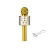PRM402 BLOW auksinis karaoke mikrofonas