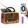 AM/FM BT BLOW RA10 nešiojamasis saulės analoginis radijas