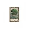 Us Games Systems JAV žaidimų sistemos po rožėmis Lenormand Kortos