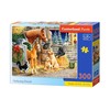 Castorland Dėlionė 300 vnt. - Draugų rinkimas
