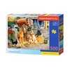 Castorland Dėlionė 300 vnt. - Draugų rinkimas