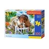 Castorland Dėlionė 100 vnt. - Geriausi draugai