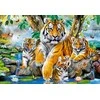Castorland Dėlionė 1000 vnt. - Tigrai