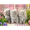 Castorland dėlionė THREE Pilkas KITTENS 260 det.