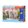 Castorland dėlionė THREE Pilkas KITTENS 260 det.