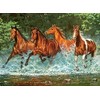 Castorland dėlionė Cascade Run 300 det.
