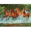 Dėlionė Castorland Puzzle 300 pcs. Cascade Run