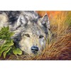 Castorland Dėlionė Pure Soul 500 Det