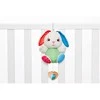 Chicco Muzikinis triušiukas Fluffy „FIRST LOVE“