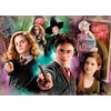 CLEMENTONI dėlionė Harry Potter, 104d., 25712
