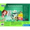 Clementoni, Anatomijos edukacinis rinkinys