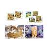 Dėlionė Clementoni Superkit Puzzle rinki