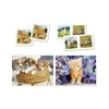 Dėlionė Clementoni Superkit Puzzle rinki