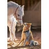 Castorland dėlionė Unique Friendship 1000 det