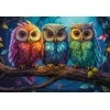 Castorland dėlionė Three Little Owls 1000 det.