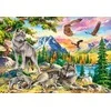 Castorland dėlionė Wolf Family and Eagles 1000 det.
