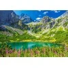 Castorland dėlionė Zelene Pleso Tatras Slovakia 1000 det.
