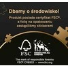 Trefl Dėlionė 1000 vnt. - Hohencolernų pilis, Vokietija