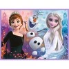 FROZEN TREFL 30+48 det. dėlionė-žaidimas „Ledo šalis 2“