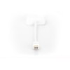 Assmann Electronic ASSMANN adapteris mini ekranasPort St - DVI-D Bu 24+5