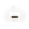 Assmann Electronic ASSMANN adapteris mini ekranasPort St - DVI-D Bu 24+5