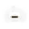 Assmann Electronic ASSMANN adapteris mini ekranasPort St - DVI-D Bu 24+5