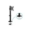 Laikiklis Assmann Electronic DIGITUS Single Monitorius stulpas