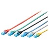 Assmann Electronic DIGITUS CAT 5e U-UTP patch kabelis PVC AWG 26/7 ilgio 0,25m spalvotas pilkas