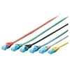 Assmann Electronic DIGITUS CAT 5e U-UTP patch kabelis PVC AWG 26/7 ilgio 0,25m spalvotas pilkas