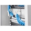 Digitus Wall-mounted housing 254 mm (10") | DN-10-09U | 31.2 x 30 cm | Pilkas